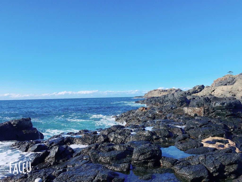 How Many People Can Live on Planet Earth 