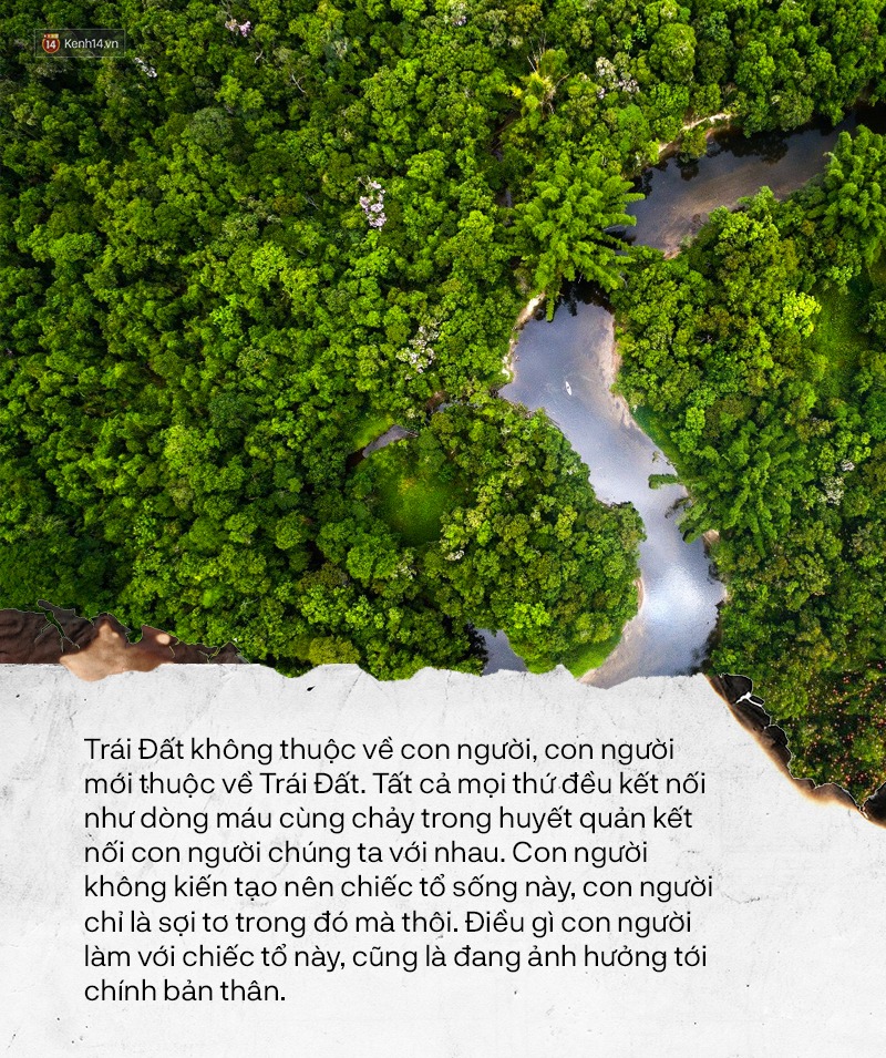 Bức thư của Thủ lĩnh da&nbsp;đỏ.